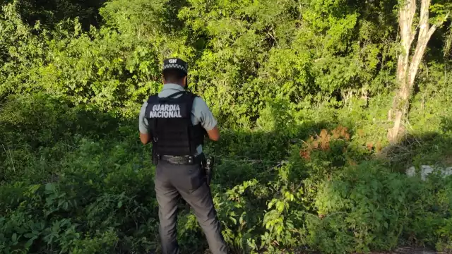 El cuerpo fue hallado hace dos semanas en la vía Valladolid-Felipe Carrillo Puerto