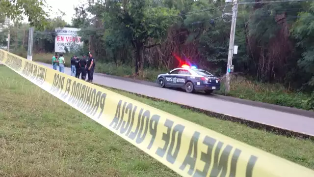 Se desconoce si se trata de una artesanía o en realidad son restos humanos incrustados en un árbol