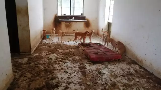 FOTOS: Julio Javier Mena