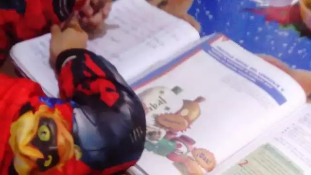 Los involucrados concuerda que la educación a distancia jamás superará la presencial