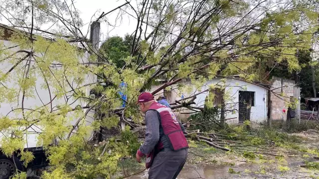 ¿Cómo hacer tu plan de emergencia en Campeche? Protección Civil te guía


