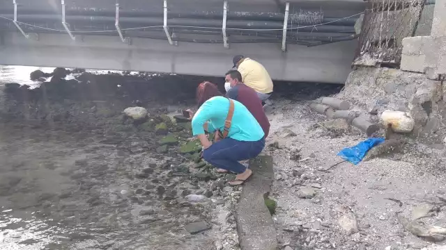 Hasta el momento se desconoce la razón de su muerte, si fue suicidio o accidente