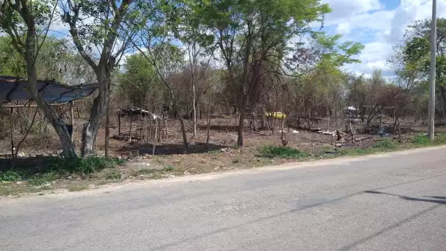 Los invasores de terrenos han comenzado a deshabitarlos debido a los constantes cobros de sus líderes