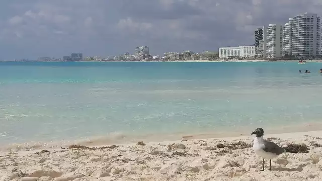 Se espera una temperatura máxima de 29 °C en Cancún