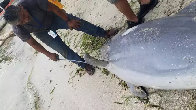 FOTO: Fernando Kantún