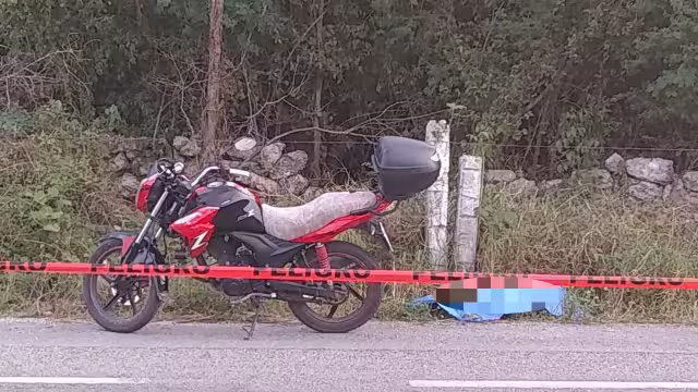 El conductor falleció en el lugar, por lo que acudieron elementos del Servicio Médico Forense (Semefo)