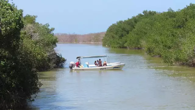 Río Lagartos es de los municipios más protegidos de Yucatán