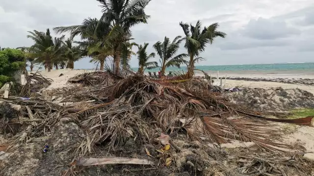 Foto: Víctor Ávalos