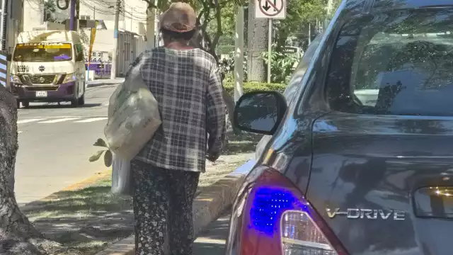 Ciudad del Carmen enfrenta reto de atención psiquiátrica y prevención de riesgos