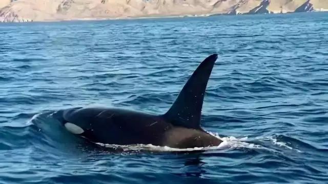 FOTO: @ClaudiaPavlovic