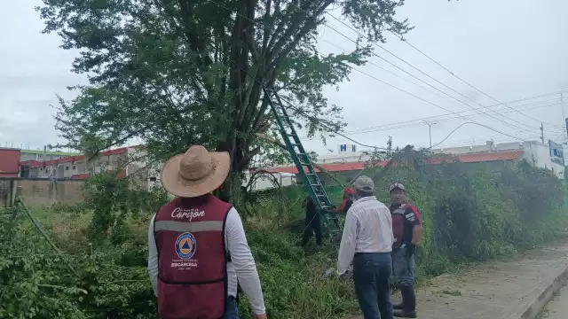Vecinos de la colonia Unidad, Esfuerzo y Trabajo II (UEYT2) en Escárcega reportaron constantes cortos circuitos y apagones desde hace una semana.