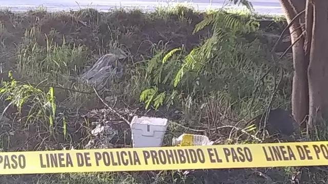 Encuentran nevera con un feto humano dentro