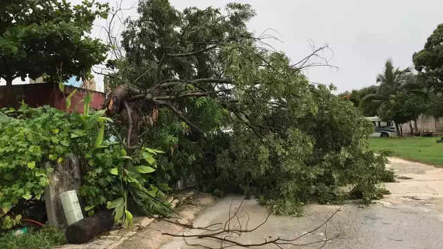 Foto: Mario Hernández