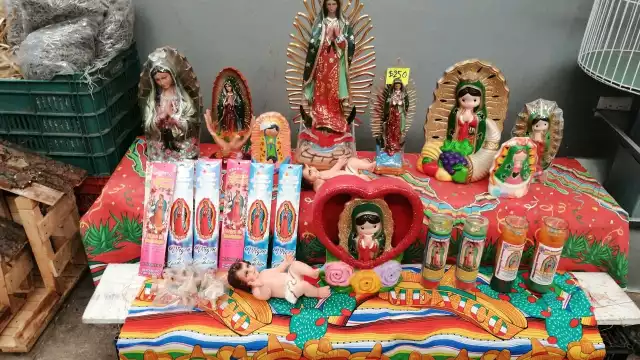 FOTOS:  Irene Barradas