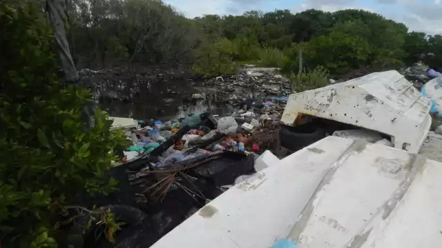 Foto: Irene Barradas