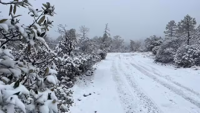 Hay carreteras cerradas en Chihuahua y Sonora por la caída de nieve