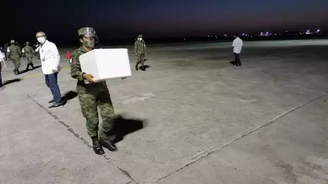 Las vacunas serán aplicados a adultos mayores