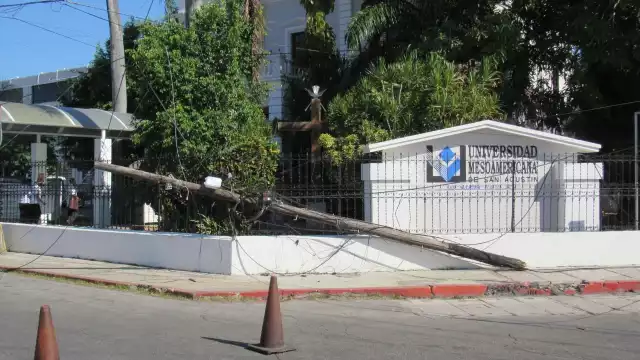El tráiler golpeó un poste de luz