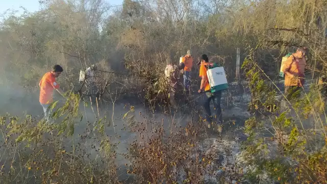 El fuego fue controlado por personal de Protección Civil