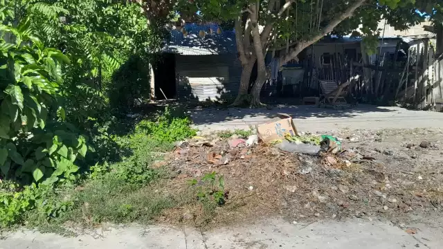 Los dueños de los pavos denunciarían el robo de las aves ante la FGE