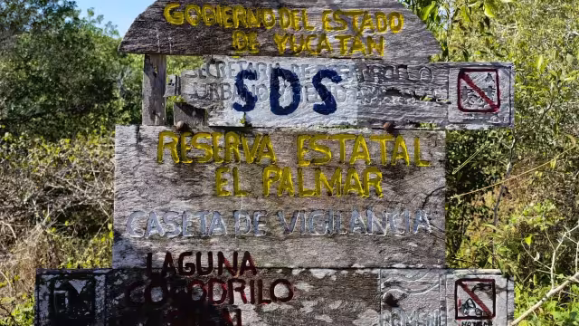 El presidente de AMPI reconoció el daño que se realiza en Sisal