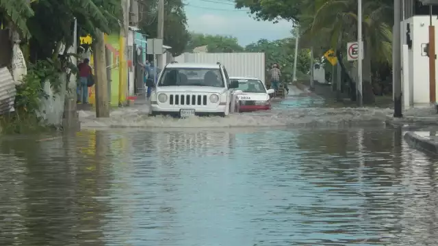 Foto: Irena Barradas
