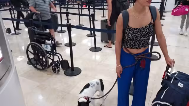 El “lomito” y su dueña se encontraban en la Terminal 2 del Aeropuerto para documentar antes de subir a su avión