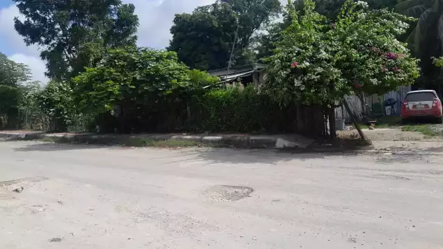 Ladrones aprovecharon la madrugada para robar un pavo de una casa en la colonia Salsipuedes