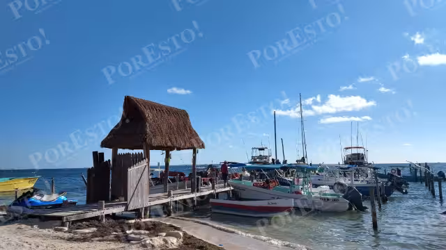 Se mantienen abiertas todas las líneas de investigación.