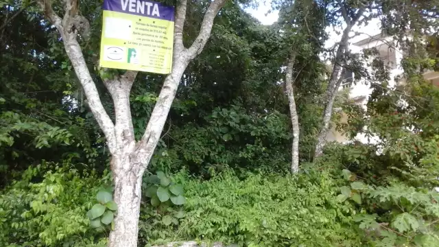 Recordó que han habido experiencias previas respecto a que también hubo anuncios y luego se declararon desérticos los proyectos.