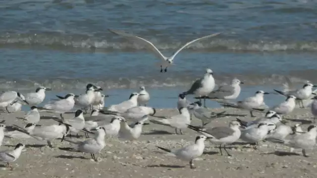 FOTO: Irene Barradas