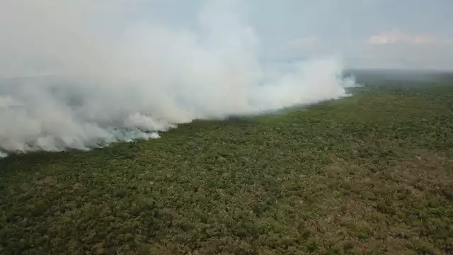 El incendio forestal avanzó en la zona selvática de Uxuxubi, ubicada en el Sur de Playa del Carmen, donde la Conafor y bomberos combaten el fuego