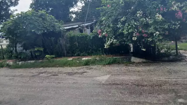 Casa es vaciada en la colonia Fátima; delincuentes se llevan hasta al perrito