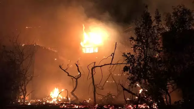 FOTOS: Luis Enrique Cauich