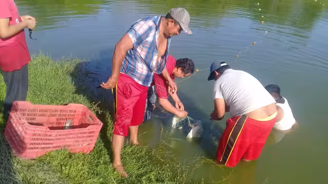 FOTOS: Fernando Kantún