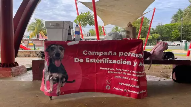 El Subdirector de Salud de la isla indicó que los perros deben tener más de dos meses, y los gatos, más de tres meses de edad, para recibir las dosis.