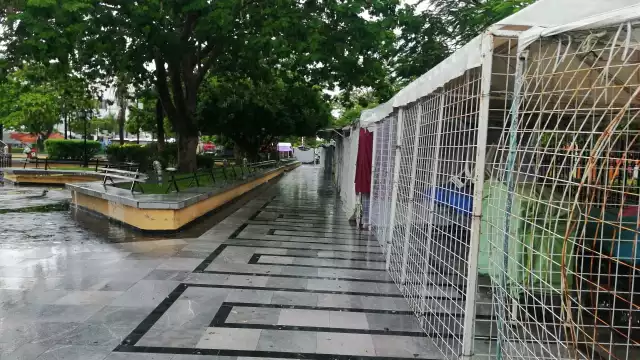 Foto: Irene Barradas