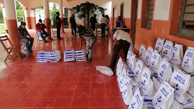 Iniciarán con el cultivo de frijol Jamapa, para ayudarse en su economía