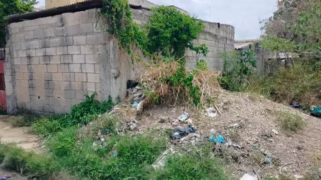 Abandono y escombros amenazan vivienda de adulta mayor en la colonia Esperanza