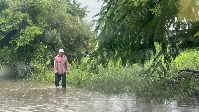 vecinos de Chetumal se vieron obligados a caminar entre el agua al no haber desazolve de las avenidas en la capital de Quintana Roo