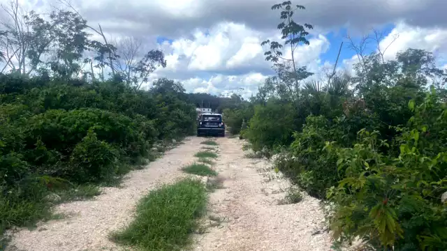 Cinco disparos se escuchan en Los Pájaros; policía encuentra casquillos pero no víctimas