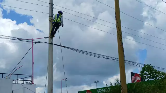 Este resultado refleja un comportamiento estable en los precios