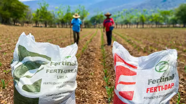 Se han entregado más de 676 mil toneladas de fertilizantes