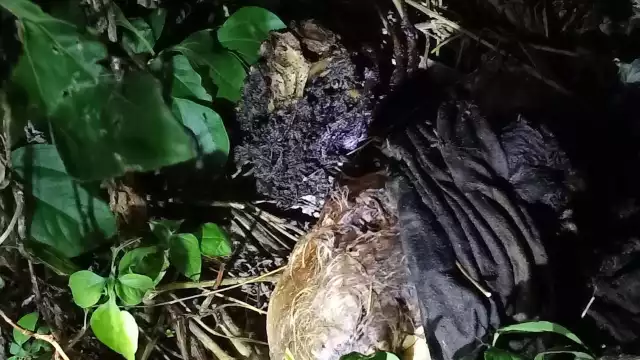 La FGE hizo el levantamiento de los restos para proceder con las averiguaciones correspondientes