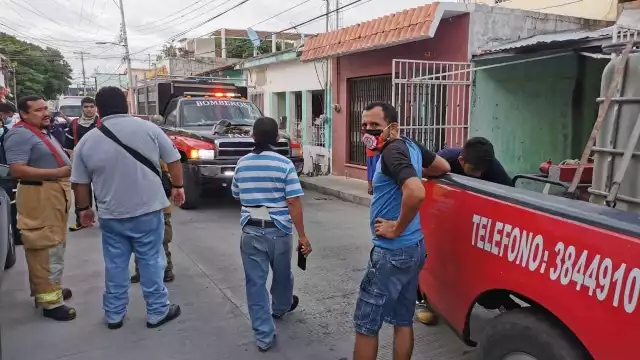 FOTOS: José Pacheco