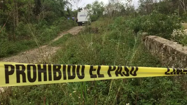 El macabro hallazgo lo realizó una persona que iba a buscar leña en el lugar en un terreno baldío. Foto: Rafael García