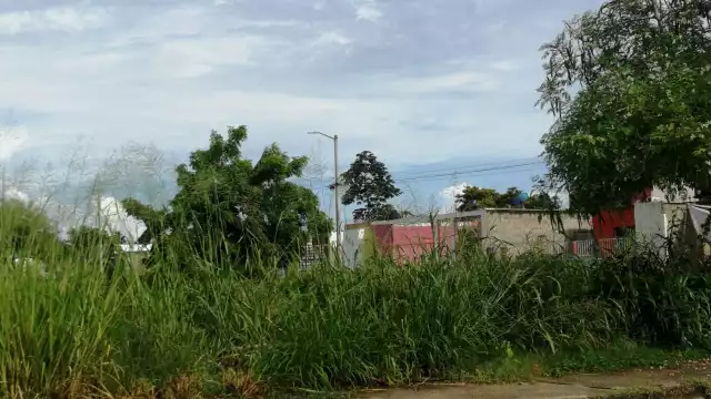 En este lote baldío del Fraccionamiento Caribe de Chetumal los hombre intentaron raptar y abusar de una menor de dos años