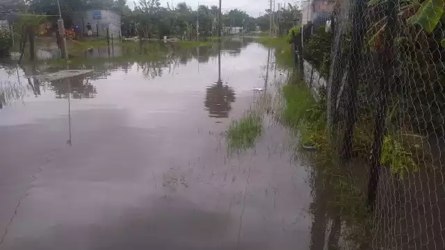 Las personas tienen que caminar medio kilómetro entre el agua. Foto: Fernando Kantún