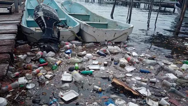 Los microplásticos matan a las especies marinas, pero también terminan en las mesas de cientos de familias carmelitas