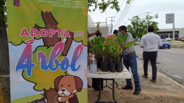 Campaña "Adopta un Árbol" busca regalar 3 mil plantas a la población campechana
